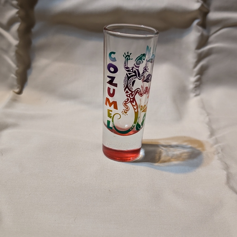 Colorful Cozumel Mexico Shot Glass
